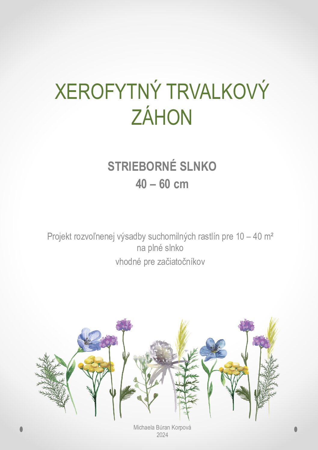Xerofytný trvalkový záhon - Strieborné slnko